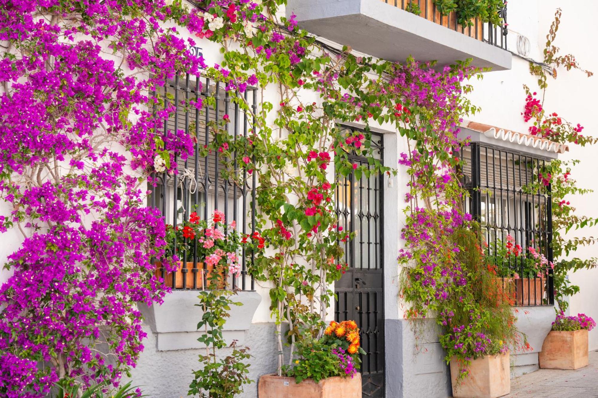 Apartemen Rincon Del Sol Al Lado De La Playa Con Parking Y Piscina 332 *